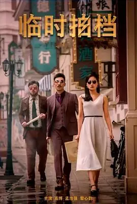 临时拍档海报