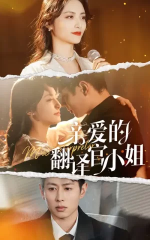 亲爱的翻译官小姐海报