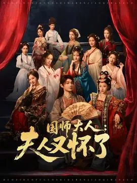 国师大人:夫人又怀了海报