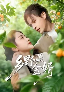 乡野藏金婿海报