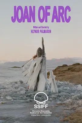 箭下的约翰娜海报