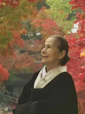 鹤子的茶道之旅海报