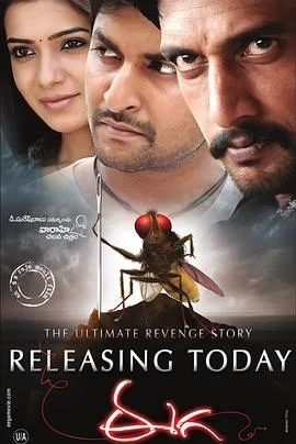 功夫小蝇(国语)海报