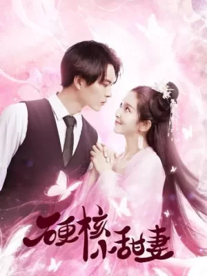 硬核小甜妻海报