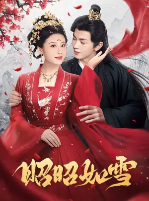 昭昭如雪海报