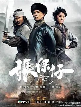 张保仔(粤语)海报