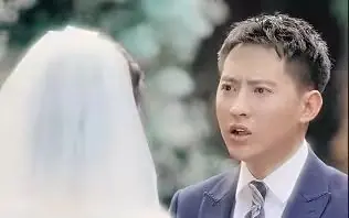 逆袭刘公子归来海报