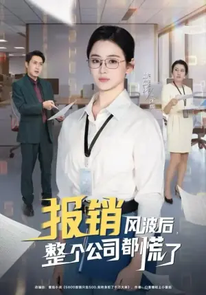 报销风波后,整个公司都慌了海报