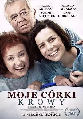 我的女儿们海报