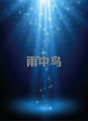 雨中鸟海报