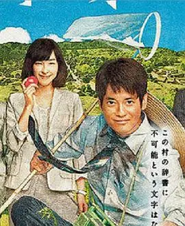 拿破仑之村海报