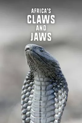非洲动物的致命武器第一季海报