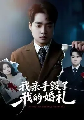 我亲手毁了我的婚礼海报