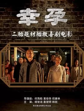 幸孕[电影解说]海报