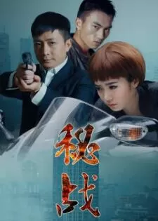 秘战海报