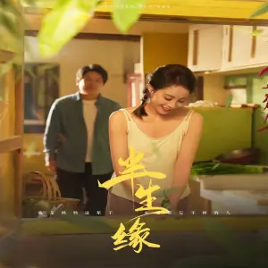 新版:半生缘海报