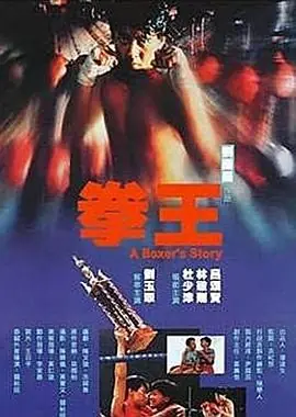 拳王1991(粤语)海报