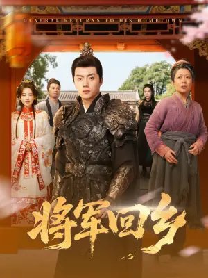 将军回乡海报