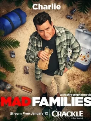 疯狂的家庭海报