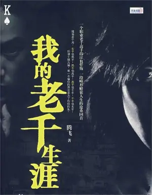 我的老千生涯海报
