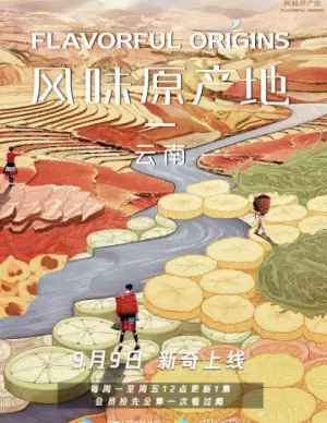 风味原产地&middot;云南海报