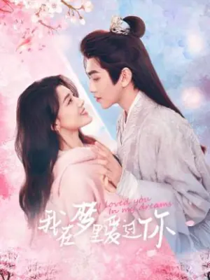我在梦里爱过你海报