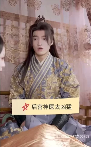 后宫神医太凶猛海报