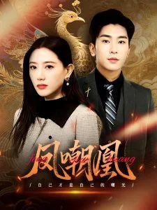 凤嘲凰海报