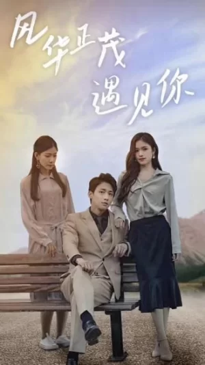 风华正茂遇见你海报