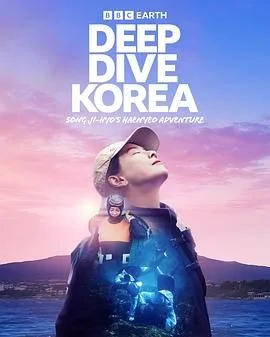 潜进韩国:宋智孝的海女冒险海报