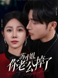 苏小姐你老公掉了海报