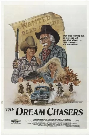 西部大冒险海报