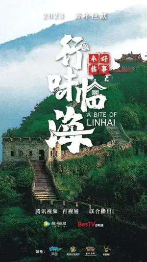 好事来临·行味临海海报