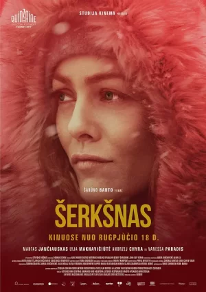 冰霜[影视解说]海报