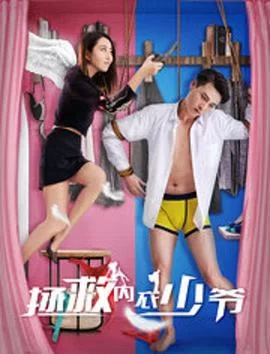 拯救内衣少爷海报