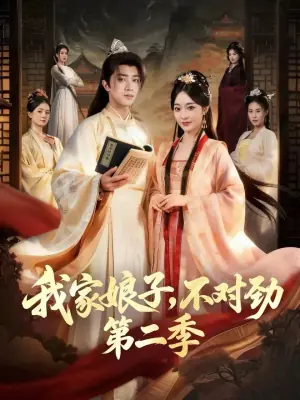 我家娘子,不对劲2海报