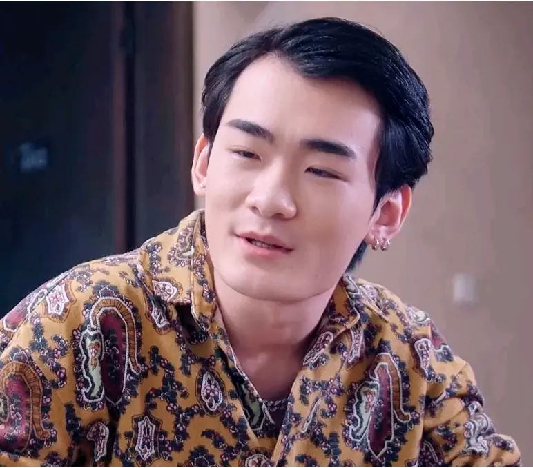 上门傻婿海报