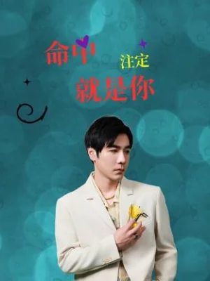 命中注定就是你海报