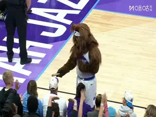 NBA常规赛公牛VS爵士20251117海报