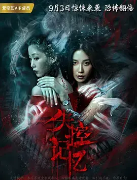 失控记忆海报