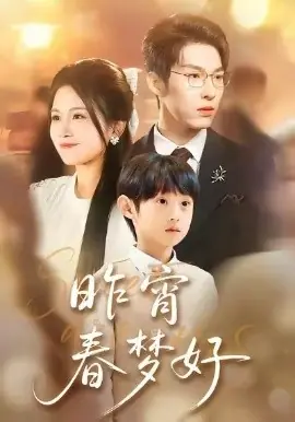 昨宵春梦好海报