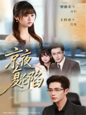 京夜复沦陷海报