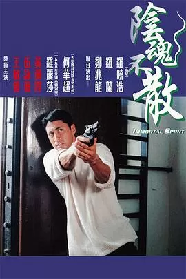 阴魂不散(国语)海报