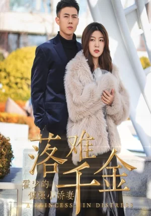 落难千金:霍少的倔强小娇妻海报