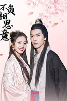 不负相思意海报