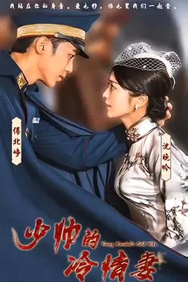 少帅的冷情妻海报