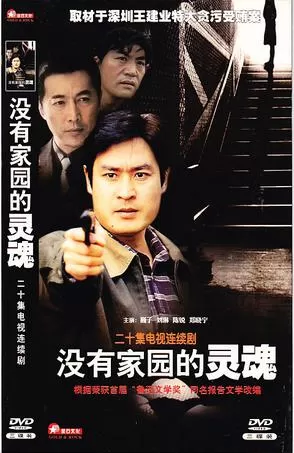 没有家园的灵魂海报