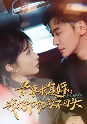 前妻求复婚,我扔下协议不回头海报