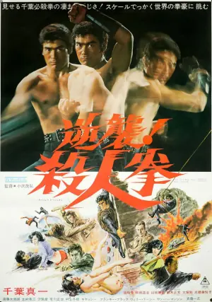 逆袭!杀人拳海报
