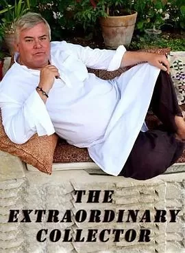 非凡收藏家海报